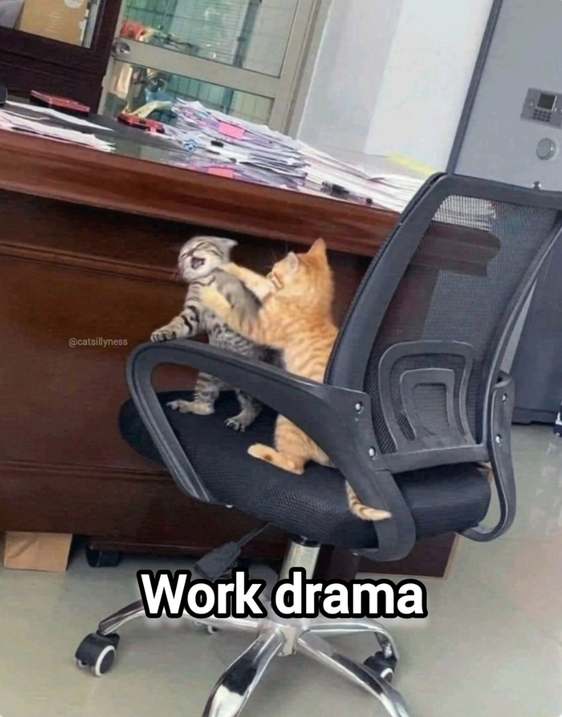 @catsillyness Work drama