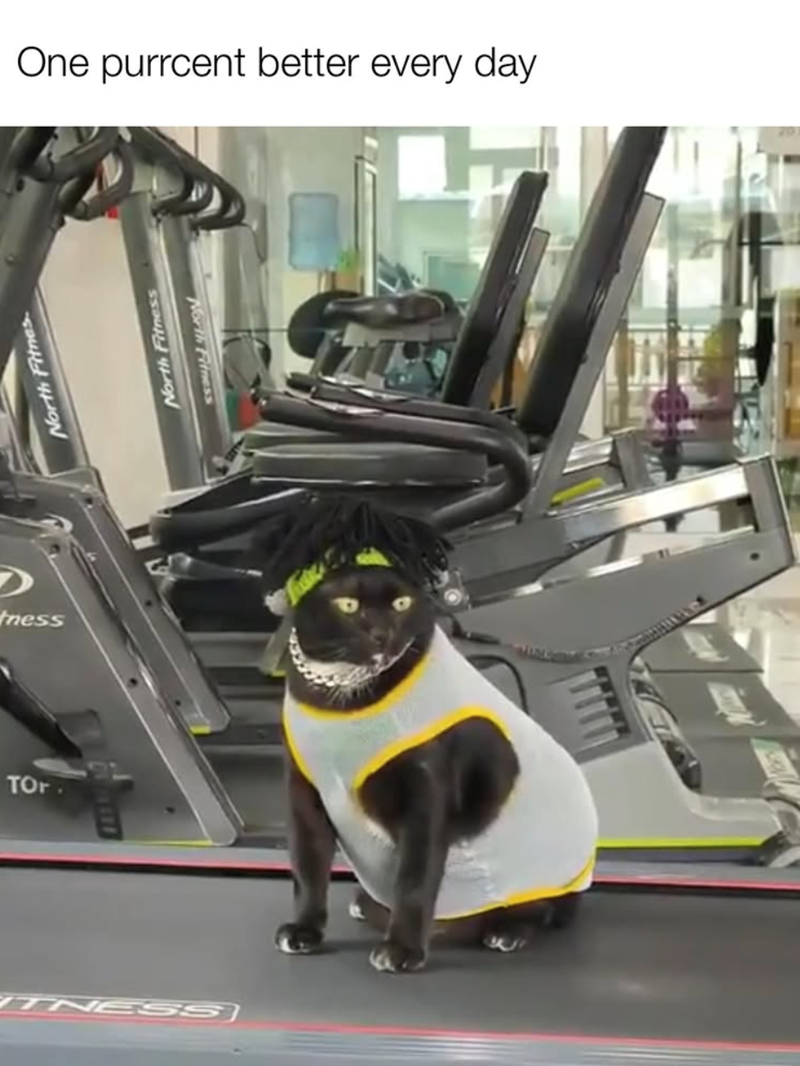 tness TOP North Fitnes. ITNESS One purrcent better every day North Fitness North Fitness