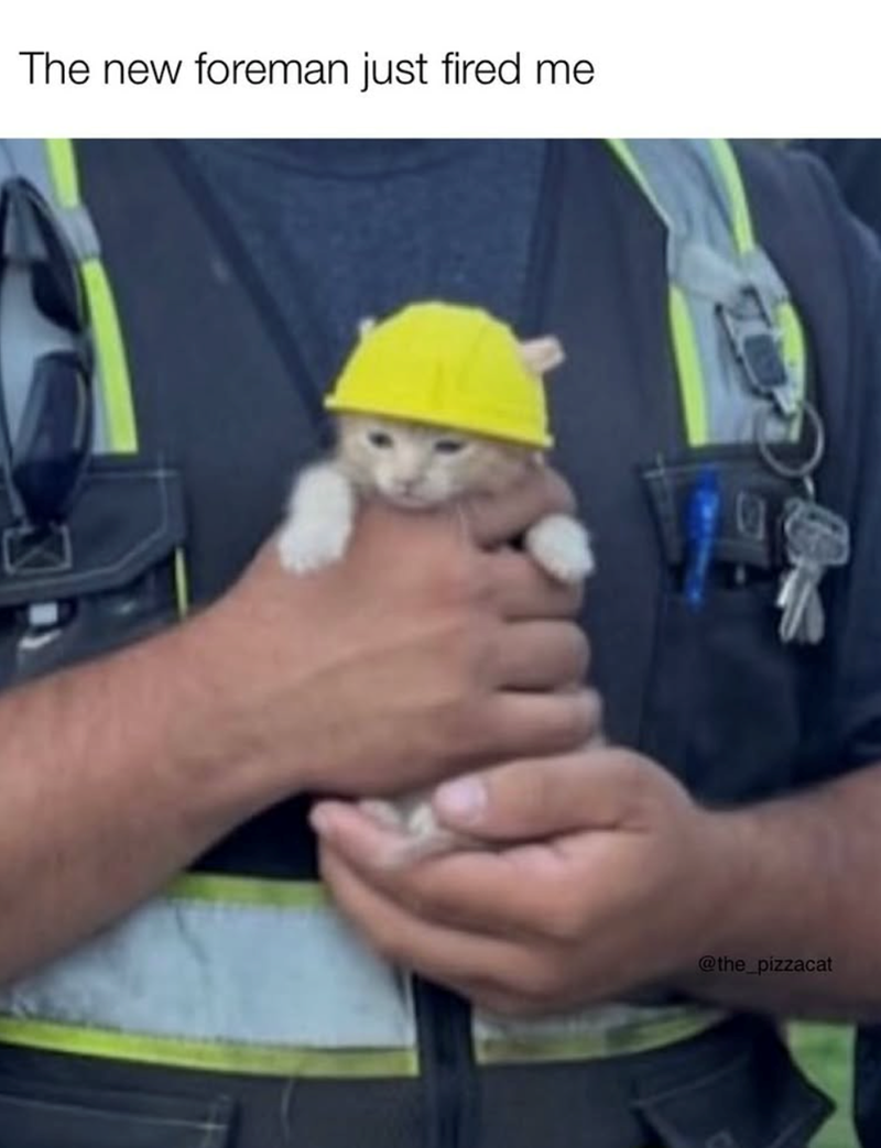 The new foreman just fired me @the_pizzacat
