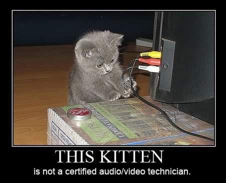 THIS KITTEN is not a certified audio/video technician.
