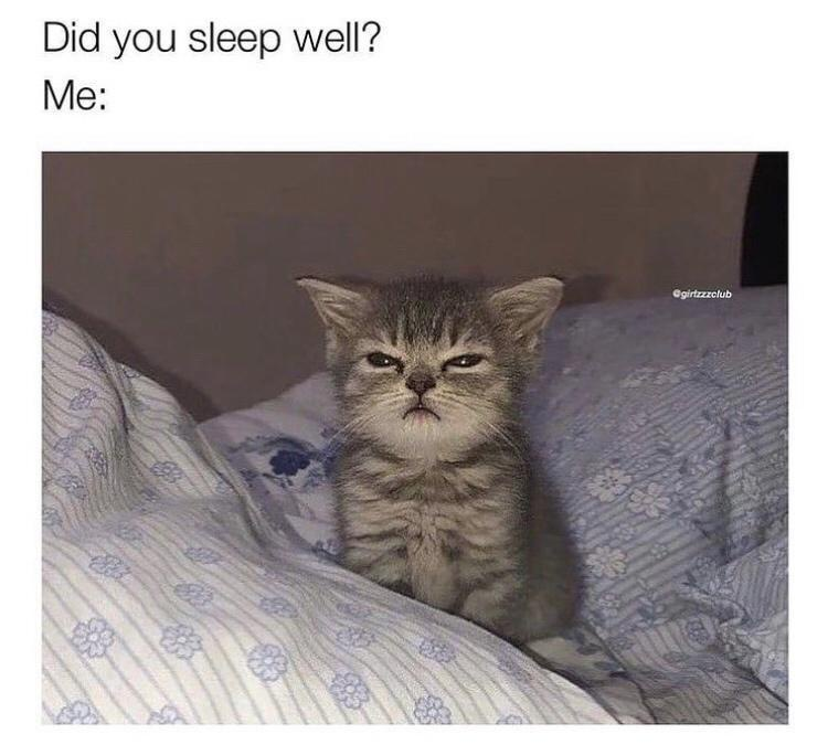 Did you sleep well? Me: @girtzzzclub