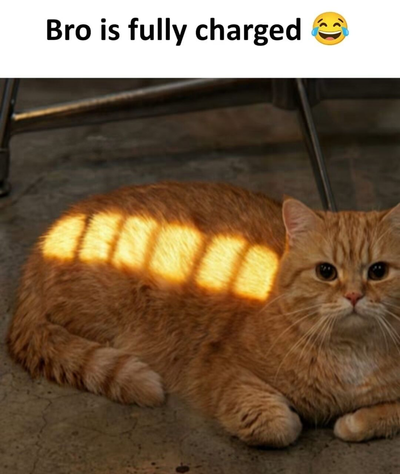 Bro is fully charged