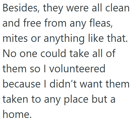 Besides, they were all clean and free from any fleas, mites or anything like that. No one could take all of them so I volunteered because I didn't want them taken to any place but a home.