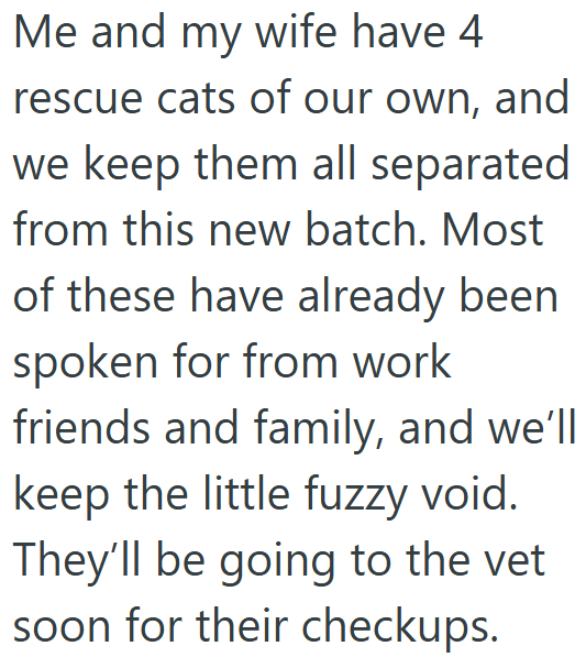 Me and my wife have 4 rescue cats of our own, and we keep them all separated from this new batch. Most of these have already been spoken for from work friends and family, and we'll keep the little fuzzy void. They'll be going to the vet soon for their checkups.