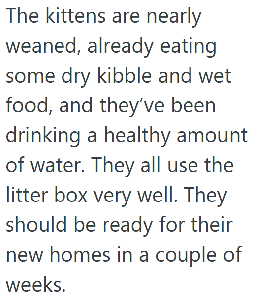 The kittens are nearly weaned, already eating some dry kibble and wet food, and they've been drinking a healthy amount of water. They all use the litter box very well. They should be ready for their new homes in a couple of weeks.