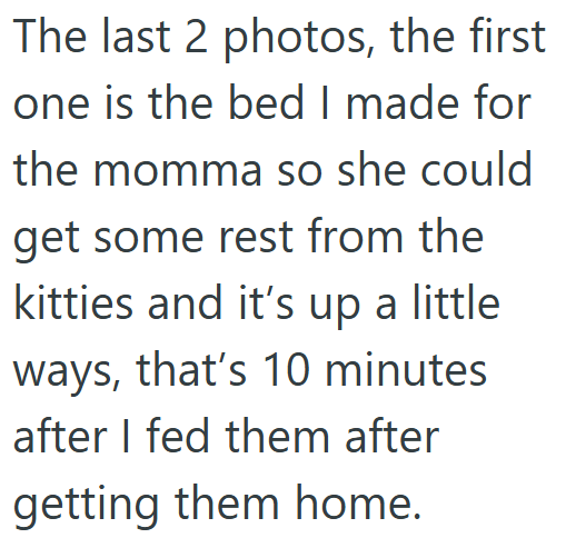 The last 2 photos, the first one is the bed I made for the momma so she could get some rest from the kitties and it's up a little ways, that's 10 minutes after I fed them after getting them home.