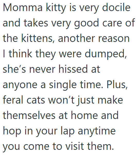 Momma kitty is very docile and takes very good care of the kittens, another reason I think they were dumped, she's never hissed at anyone a single time. Plus, feral cats won't just make themselves at home and hop in your lap anytime you come to visit them.