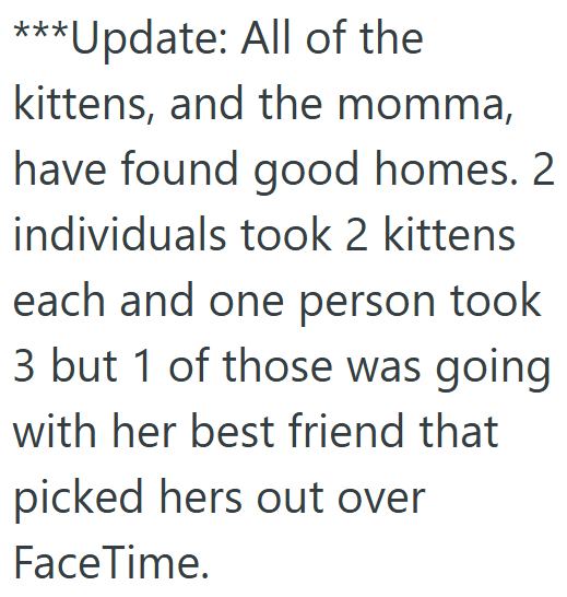 ***Update: All of the kittens, and the momma, have found good homes. 2 individuals took 2 kittens each and one person took 3 but 1 of those was going with her best friend that picked hers out over FaceTime.