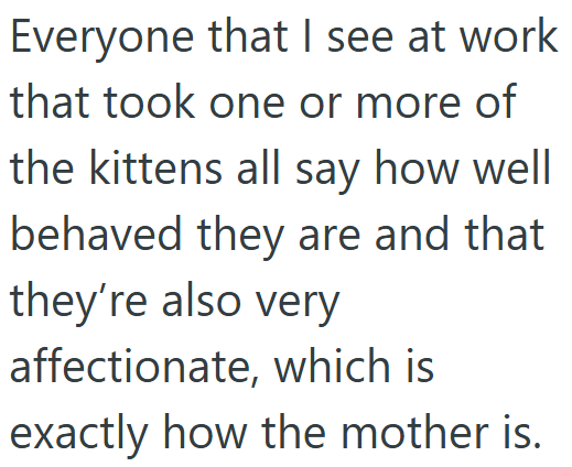 Everyone that I see at work that took one or more of the kittens all say how well behaved they are and that they're also very affectionate, which is exactly how the mother is.