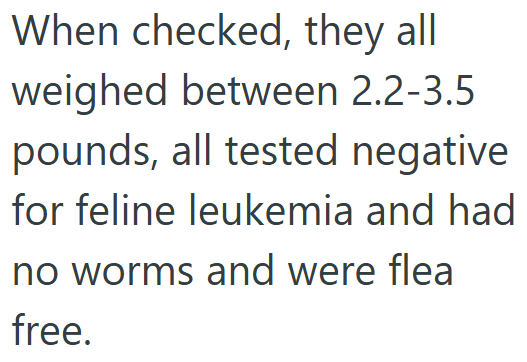 When checked, they all weighed between 2.2-3.5 pounds, all tested negative for feline leukemia and had no worms and were flea free.