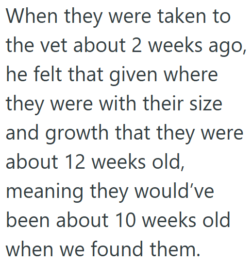 When they were taken to the vet about 2 weeks ago, he felt that given where they were with their size and growth that they were about 12 weeks old, meaning they would've been about 10 weeks old when we found them.