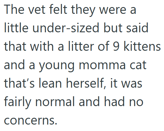 The vet felt they were a little under-sized but said that with a litter of 9 kittens and a young momma cat that's lean herself, it was fairly normal and had no. concerns.
