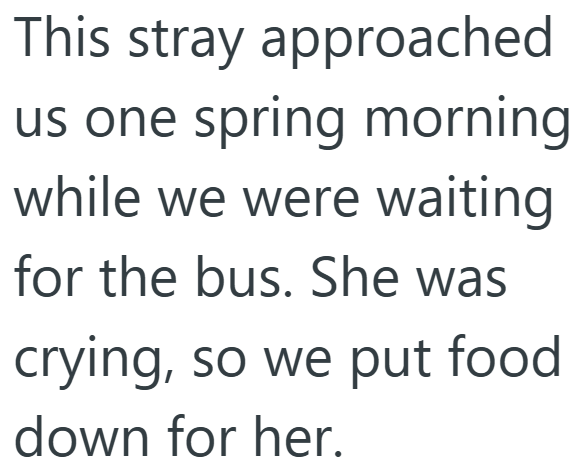 This stray approached us one spring morning while we were waiting for the bus. She was crying, so we put food down for her.