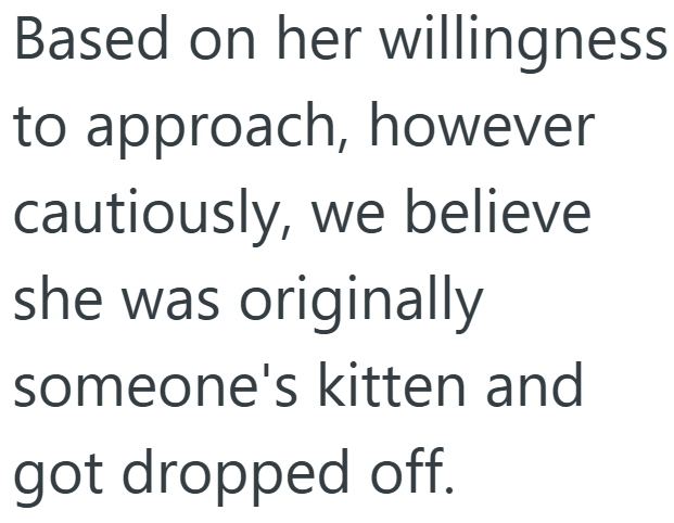 Based on her willingness to approach, however cautiously, we believe she was originally someone's kitten and got dropped off.