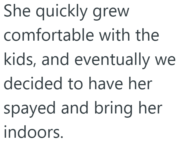 She quickly grew comfortable with the kids, and eventually we decided to have her spayed and bring her indoors.