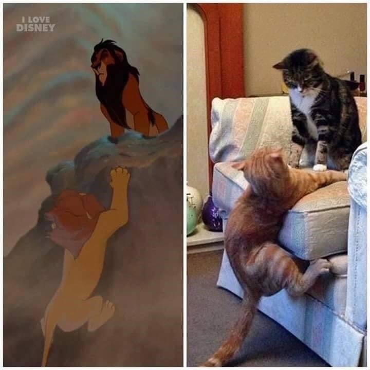 I LOVE DISNEY