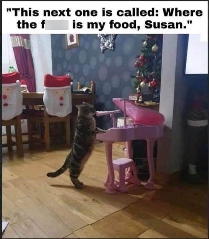 "This next one is called: Where the f is my food, Susan."