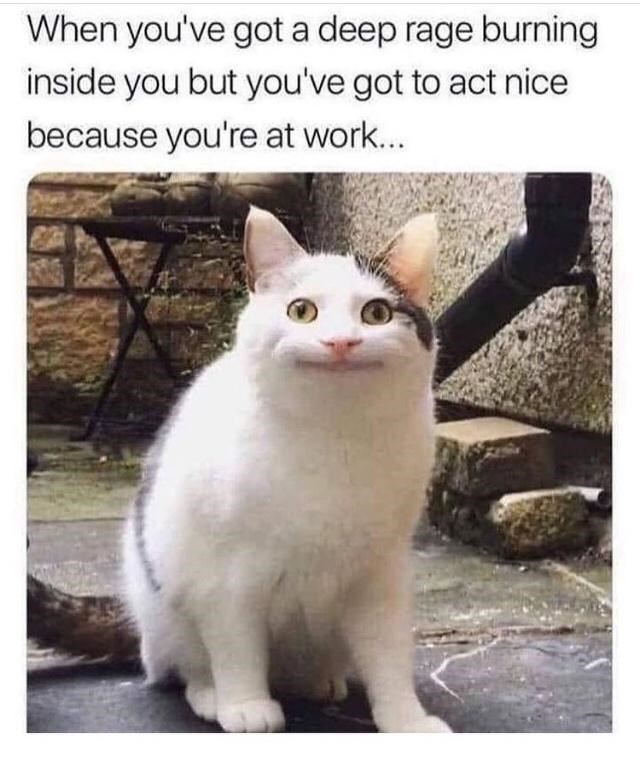 When you've got a deep rage burning inside you but you've got to act nice because you're at work...