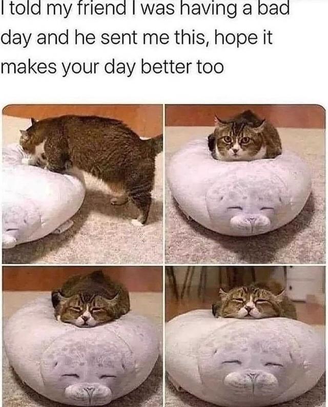 I told my friend I was having a bad day and he sent me this, hope it makes your day better too