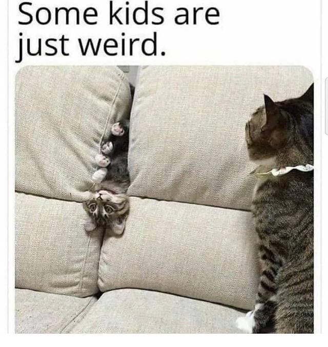 Some kids are just weird.