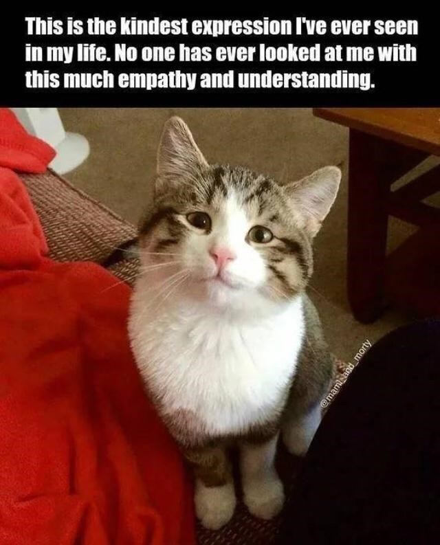 This is the kindest expression I've ever seen in my life. No one has ever looked at me with this much empathy and understanding. HU @mami_and_morty