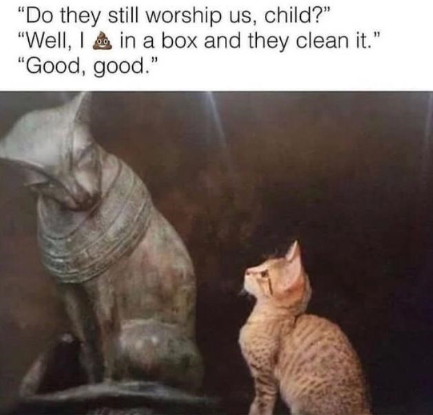 "Do they still worship us, child?" "Well, I in a box and they clean it." "Good, good."