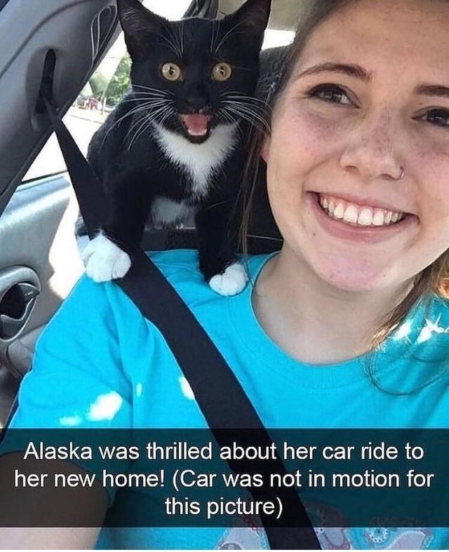 Alaska was thrilled about her car ride to her new home! (Car was not in motion for this picture)