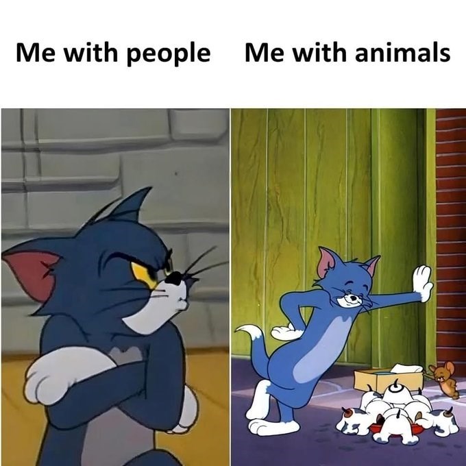 Me with people Me with animals