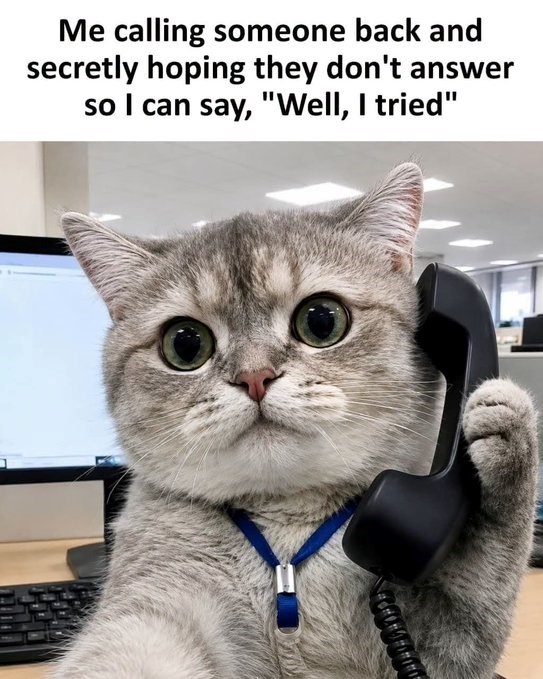 Me calling someone back and secretly hoping they don't answer so I can say, "Well, I tried"