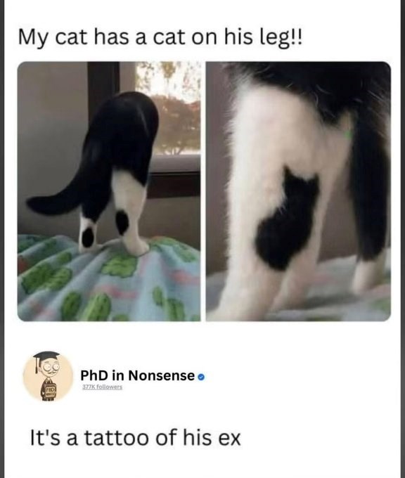 My cat has a cat on his leg!! PhD in Nonsense. 377K followers It's a tattoo of his ex
