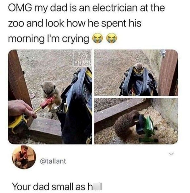 OMG my dad is an electrician at the zoo and look how he spent his morning I'm crying @tallant Your dad small as h