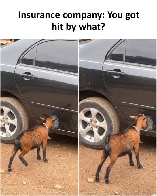 Insurance company: You got hit by what?