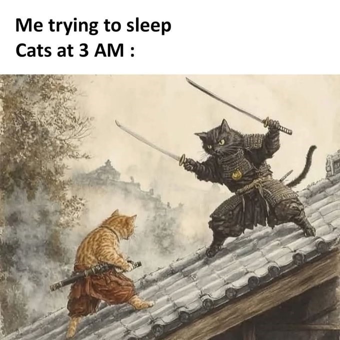 Me trying to sleep Cats at 3 AM :