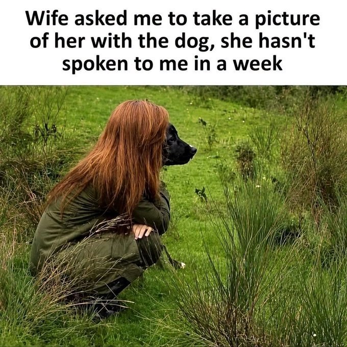 Wife asked me to take a picture of her with the dog, she hasn't spoken to me in a week