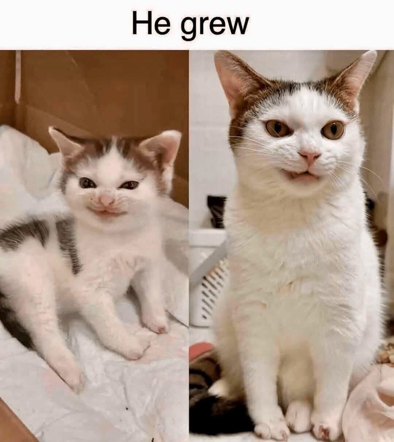 He grew