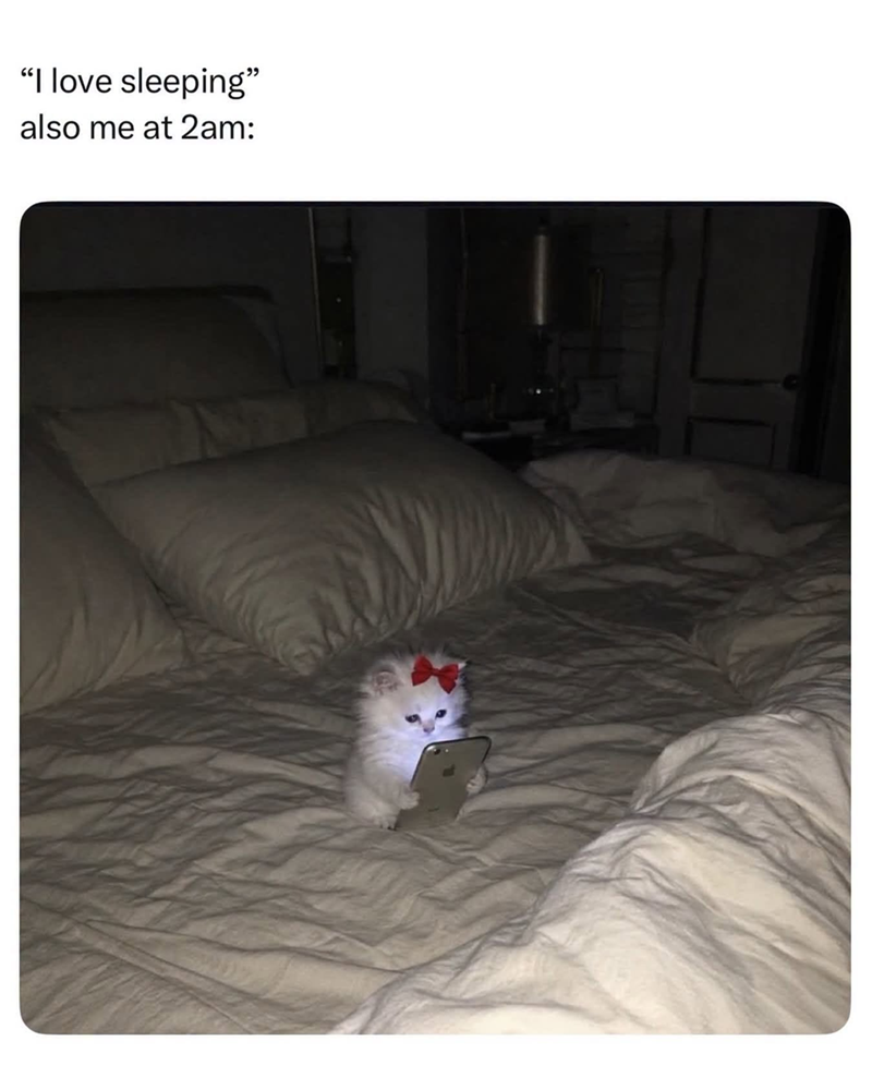 "I love sleeping" also me at 2am: