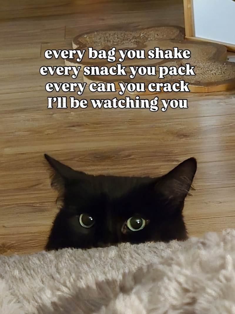 every bag you shake every snack you pack every can you crack I'll be watching you