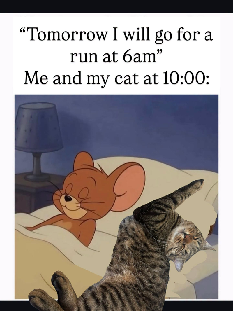 "Tomorrow I will go for a run at 6am" Me and my cat at 10:00: