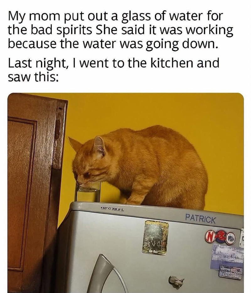 My mom put out a glass of water for the bad spirits She said it was working because the water was going down. Last night, I went to the kitchen and saw this: MACHINEL PATRICK N