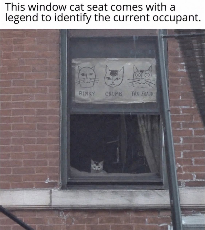 This window cat seat comes with a legend to identify the current occupant. BINKY CRUMB TAX FRAUD