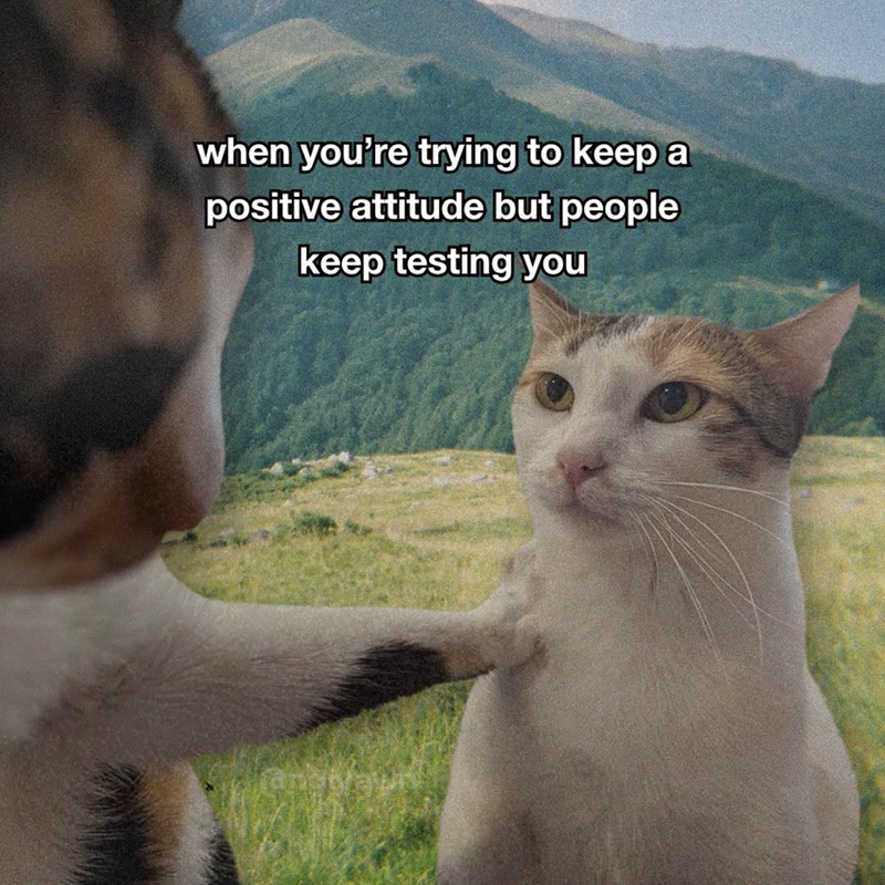 when you're trying to keep a positive attitude but people keep testing you