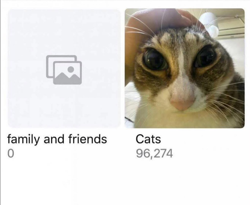 family and friends 0 Cats 96,274
