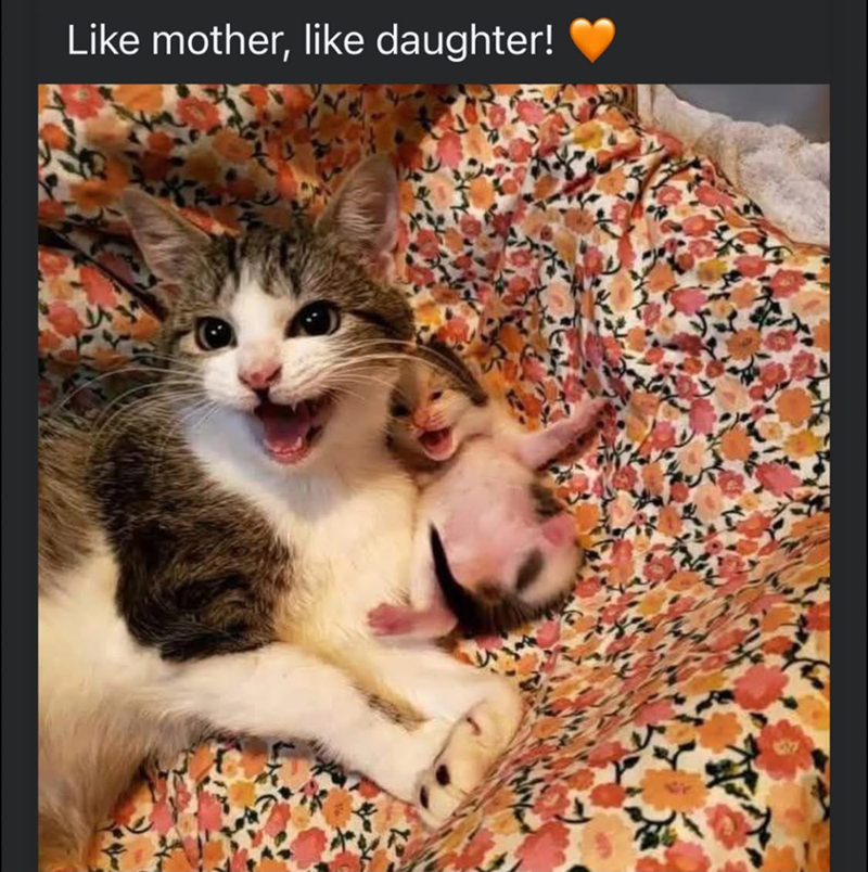 Like mother, like daughter!