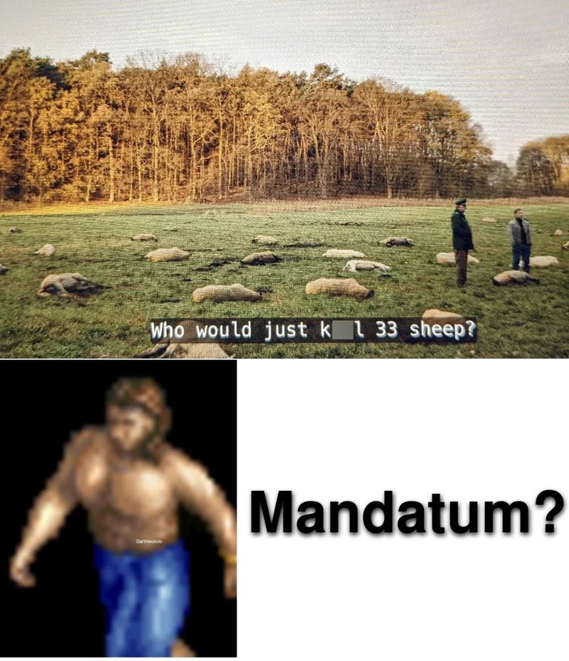 Who would just k l 33 sheep? Darthwololo Mandatum?