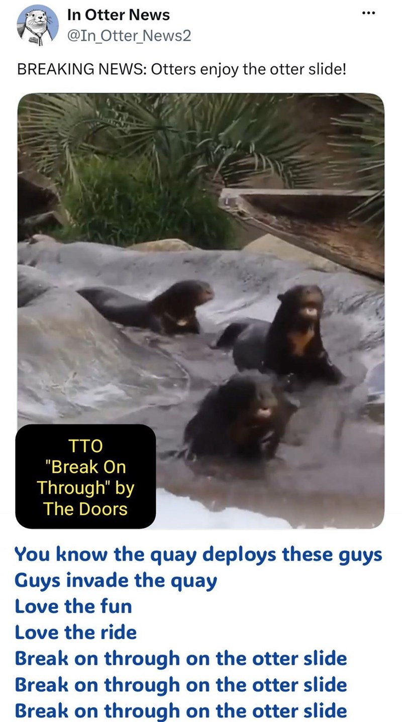 In Otter News @In Otter_News2 BREAKING NEWS: Otters enjoy the otter slide! guys TTO "Break On Through" by The Doors You know the quay deploys these Guys invade the quay Love the fun Love the ride Break on through on the otter slide Break on through on the otter slide Break on through on the otter slide
