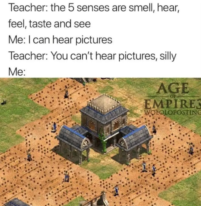 Teacher: the 5 senses are smell, hear, feel, taste and see Me: I can hear pictures Teacher: You can't hear pictures, silly Me: AGE OF EMPIRES WOLOLOPOSTING