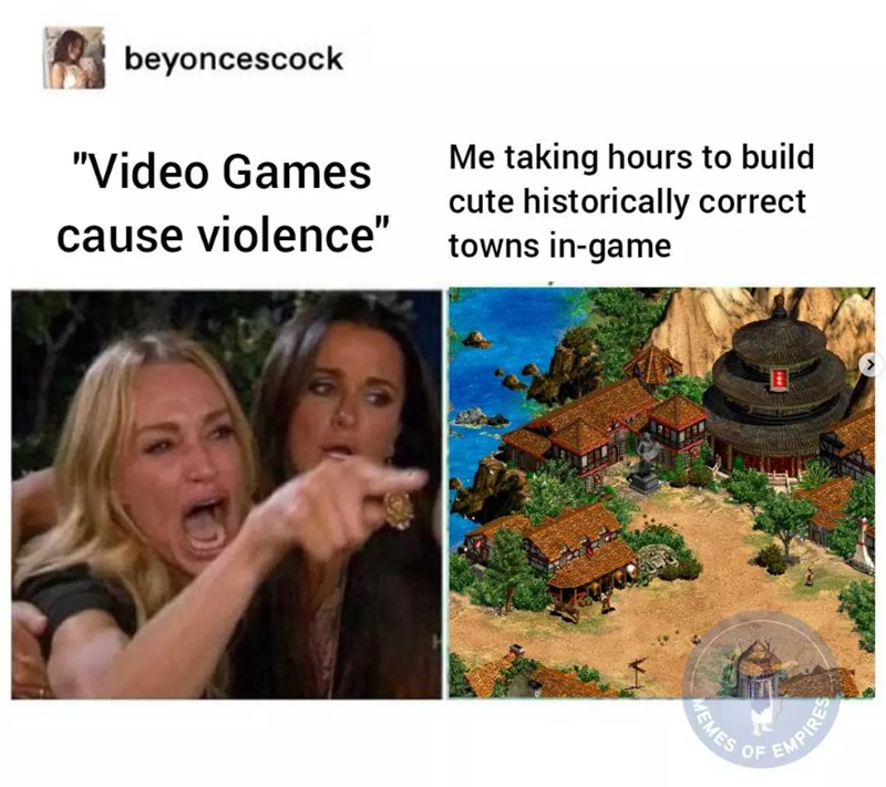 beyoncescock "Video Games cause violence" Me taking hours to build cute historically correct towns in-game MEMES EMPIRES