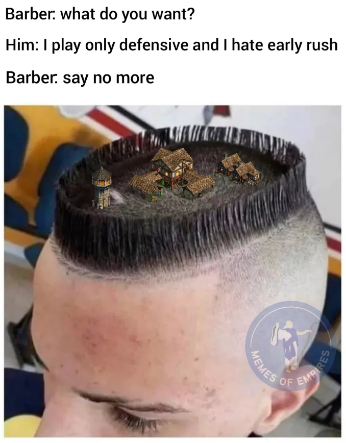 Barber: what do you want? Him: I play only defensive and I hate early rush Barber. say no more MEMES OF EMPIRES