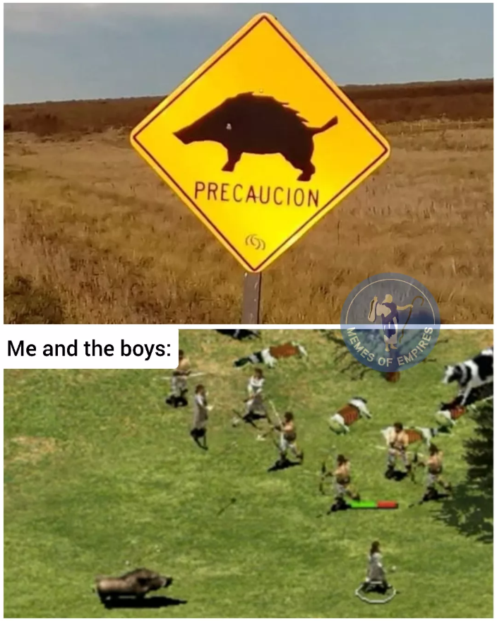 Me and the boys: PRECAUCION MEMES OF EMPIRES