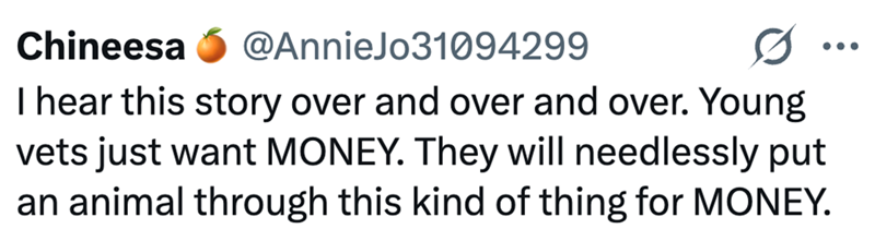 Chineesa @AnnieJo31094299 I hear this story over and over and over. Young vets just want MONEY. They will needlessly put an animal through this kind of thing for MONEY. ...